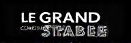Logo de Le Grand Stade Consulting en blanc pour le pied de page